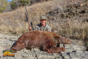 Cinnamon Color Phase California Black Bear